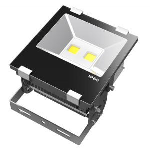 LED reflektor K21-TGA-100W