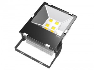LED reflektor K21-TGA-150W